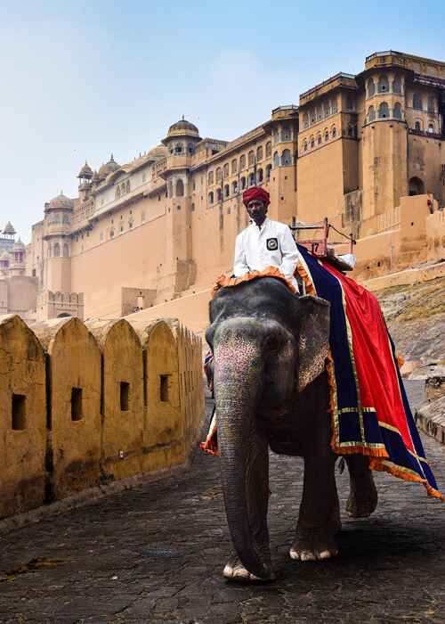 Amber Fort Jaipur