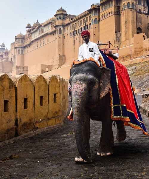 Amber Fort Jaipur