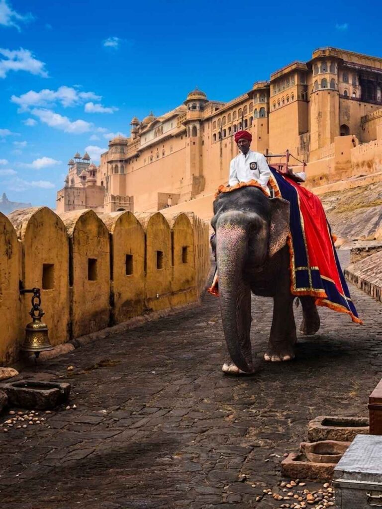 jaipur elephant ride